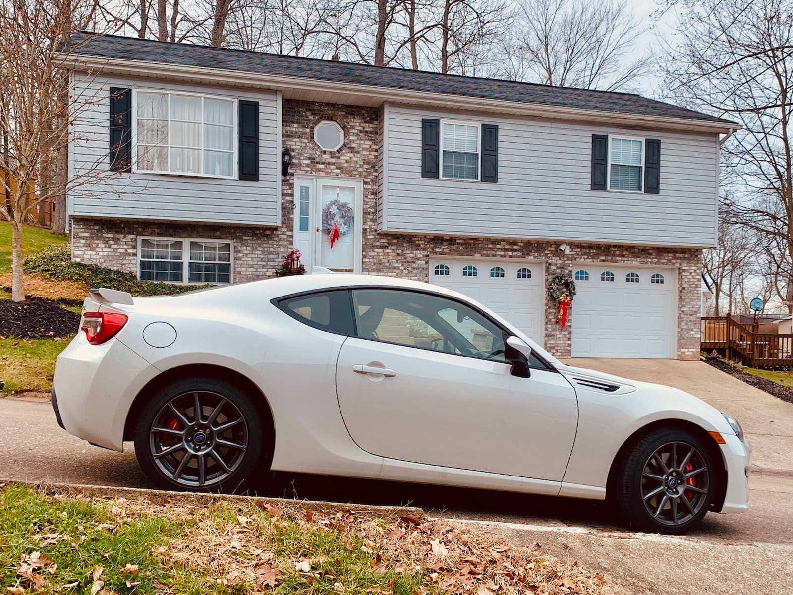 Pearl being festive in Cross Lanes West Virginia