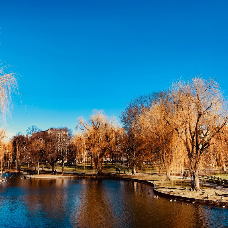 Boston - Blogs, Life, Work and Home With Sean Rose