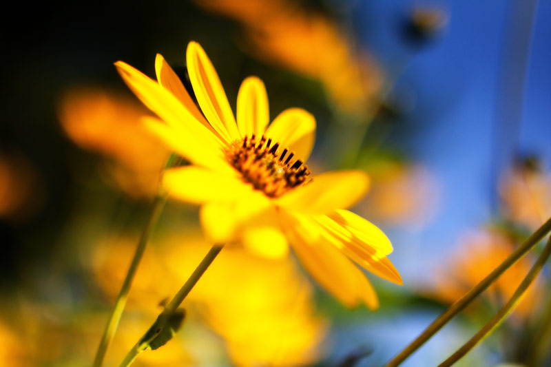 Charleston - Blogs, Life, Work and Home With Sean Rose