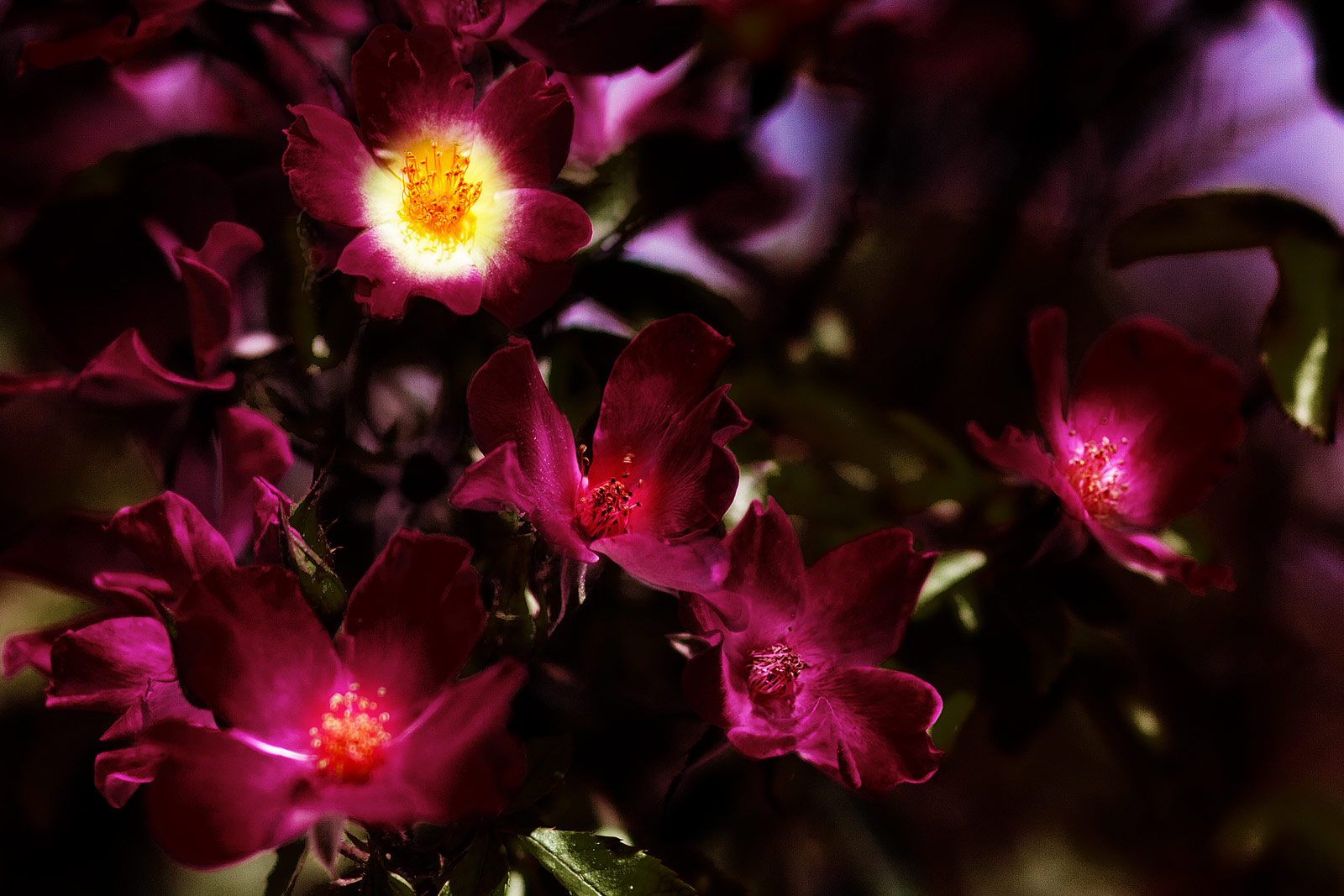 Charleston - Blogs, Life, Work and Home With Sean Rose