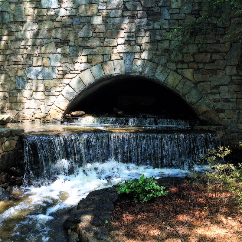 Charlotte - Blogs, Life, Work and Home With Sean Rose