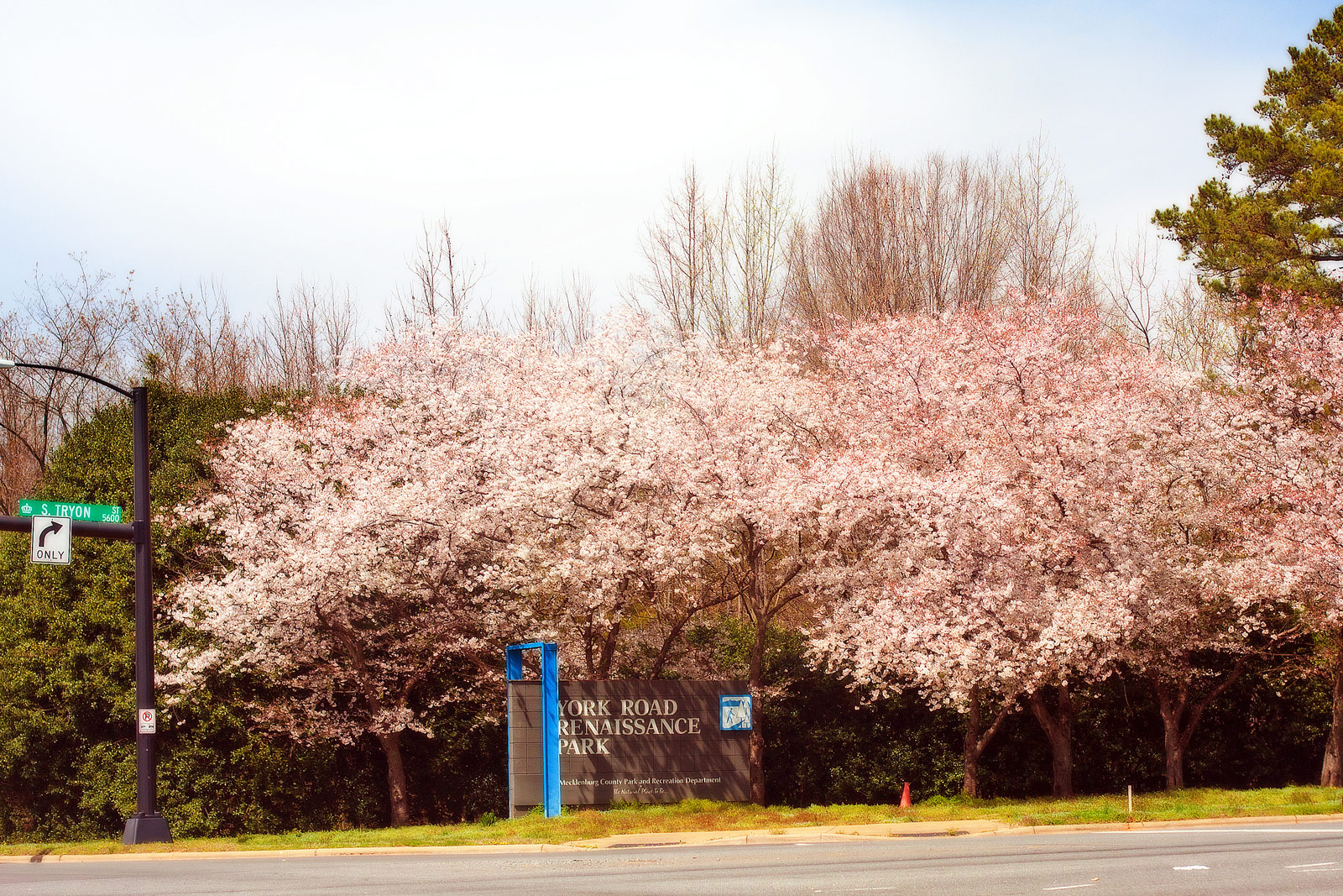 Charlotte - Blogs, Life, Work and Home With Sean Rose