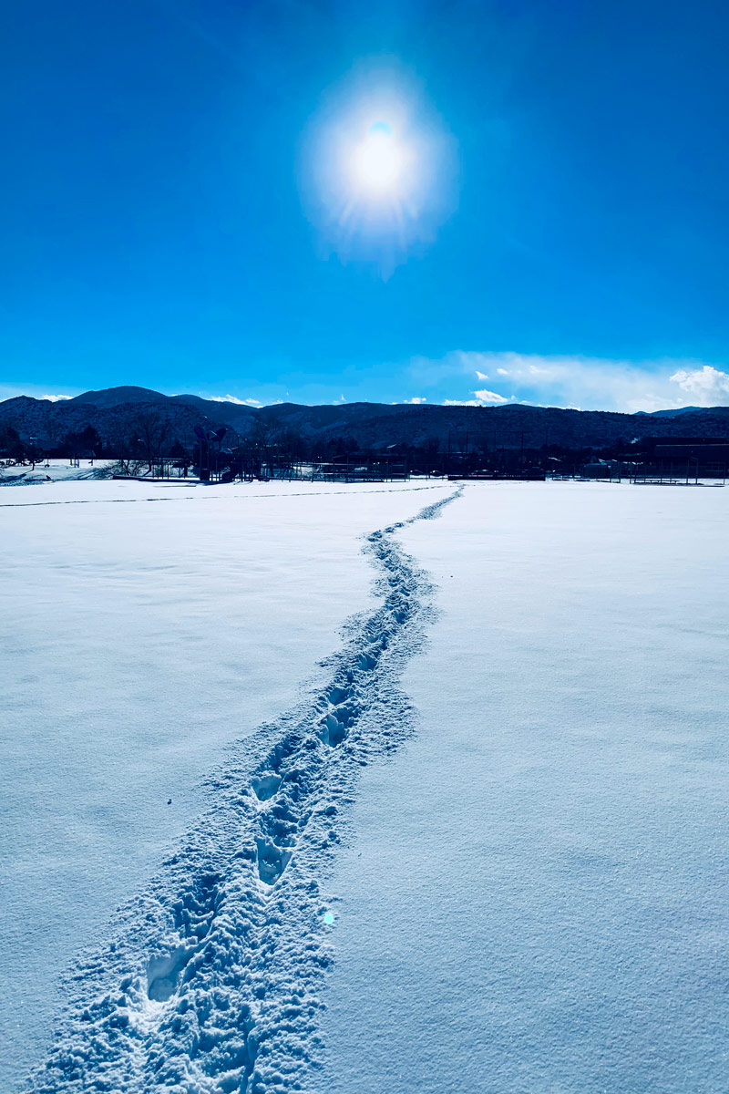 Denver - Blogs, Life, Work and Home With Sean Rose