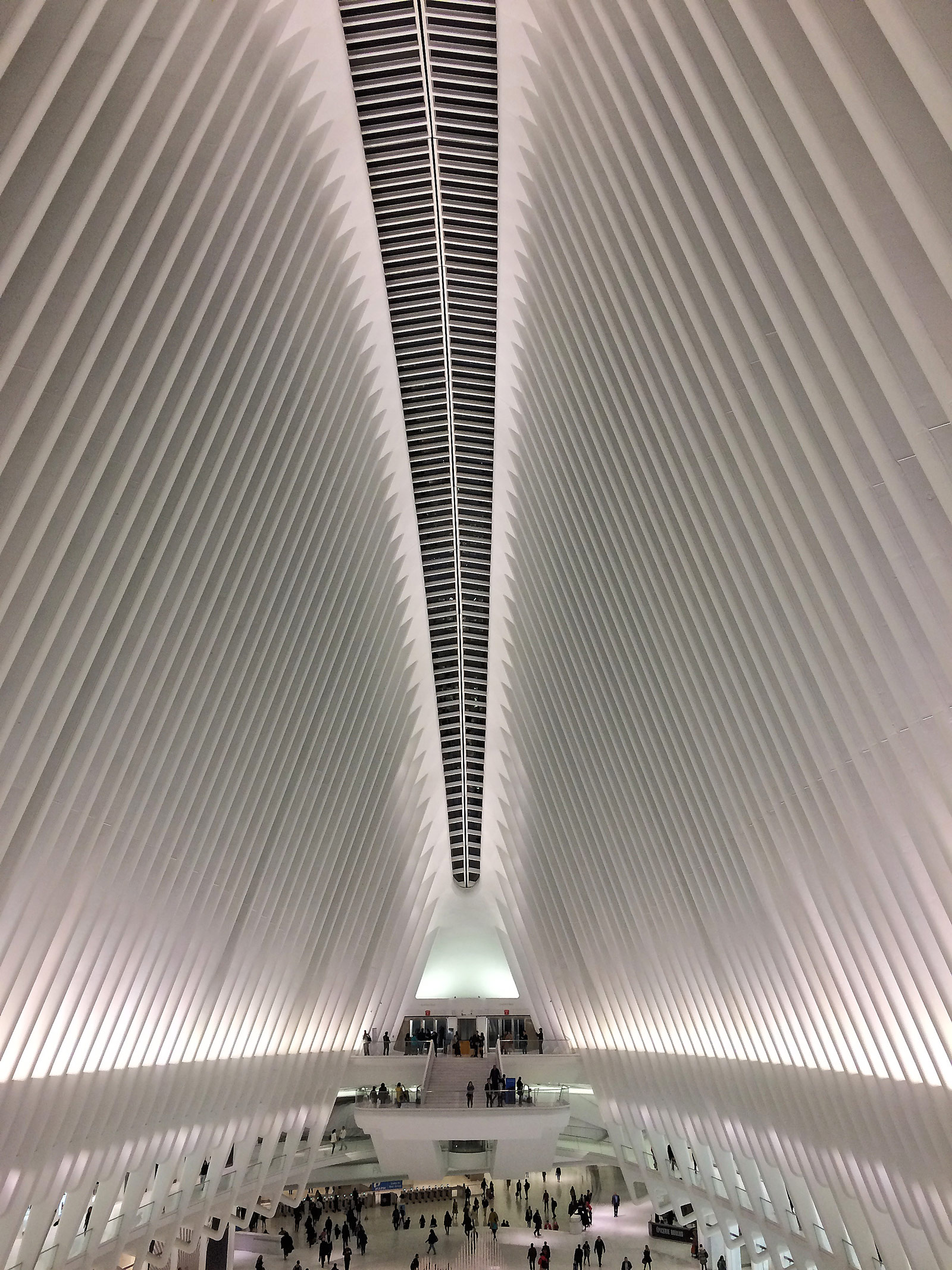 New York - Blogs, Life, Work and Home With Sean Rose