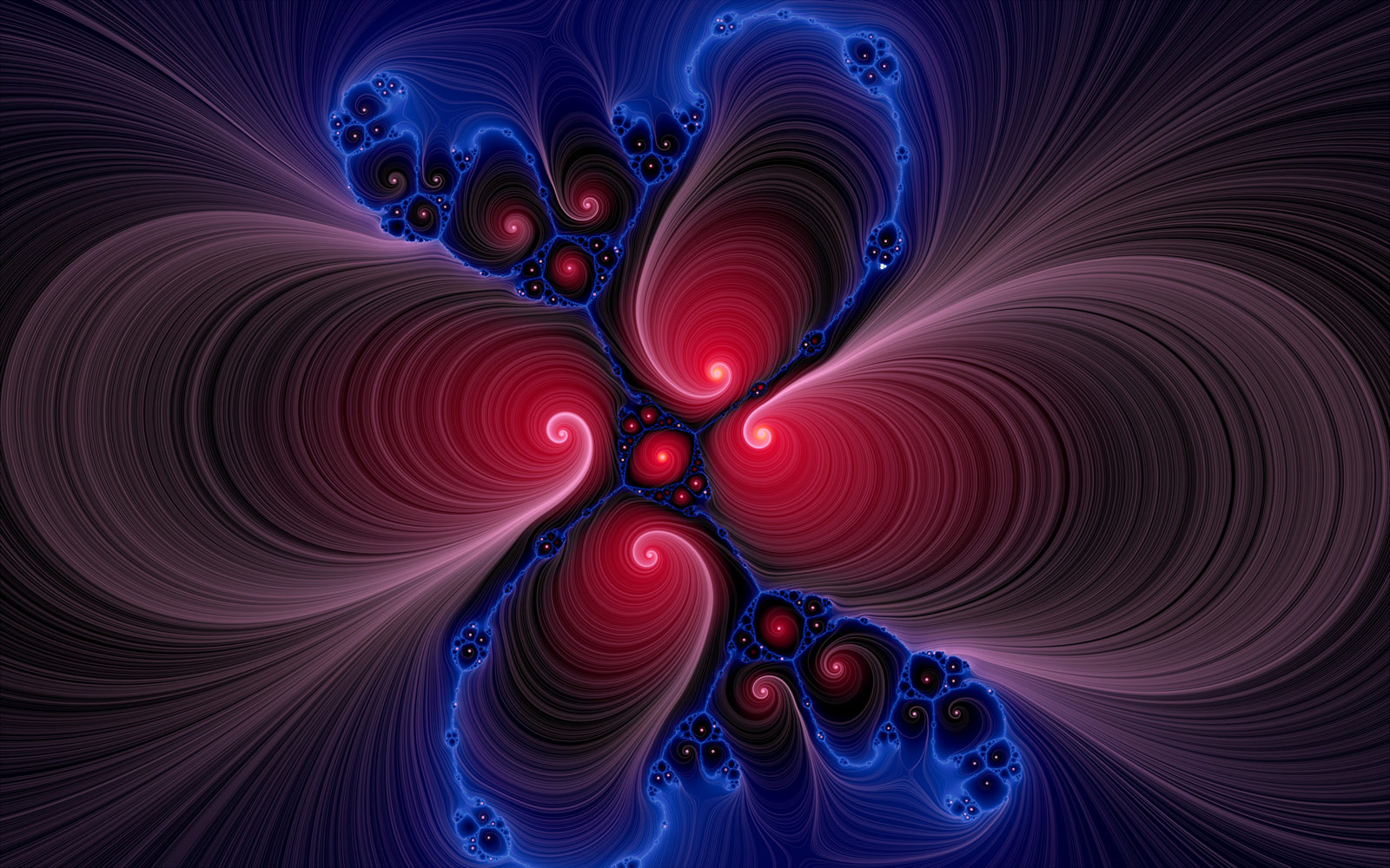 Fractal Illustration | SeanRose.com