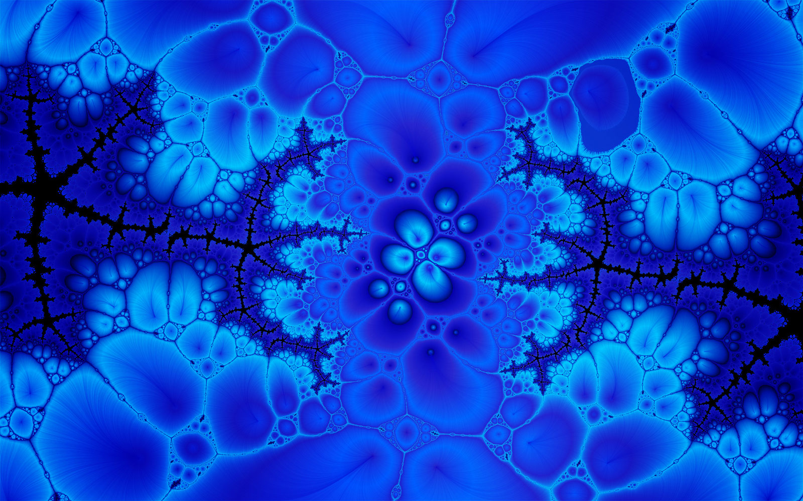 Fractal Illustration | SeanRose.com