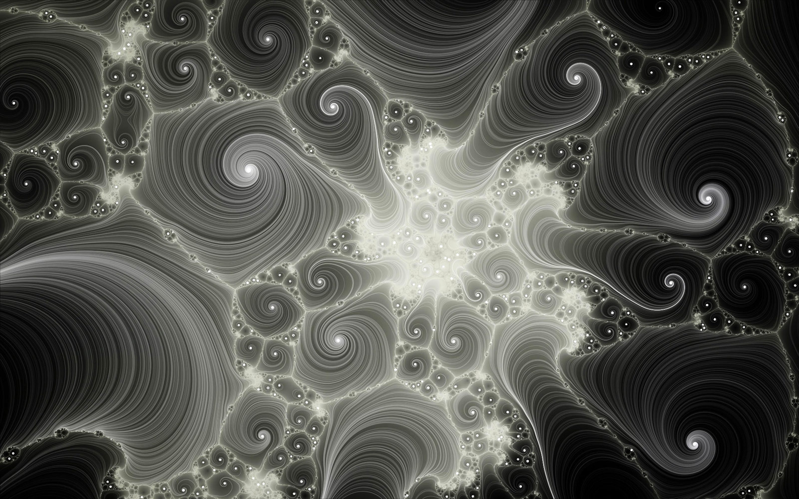 Fractal Illustration | SeanRose.com