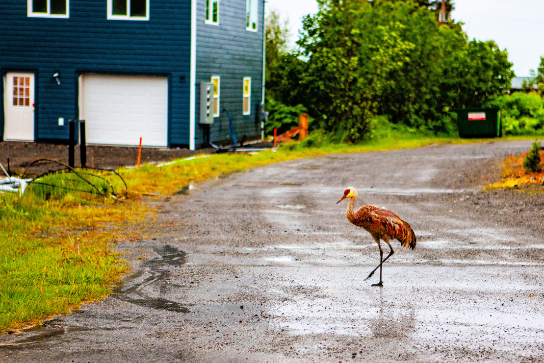 The Final Frontier: Alaska