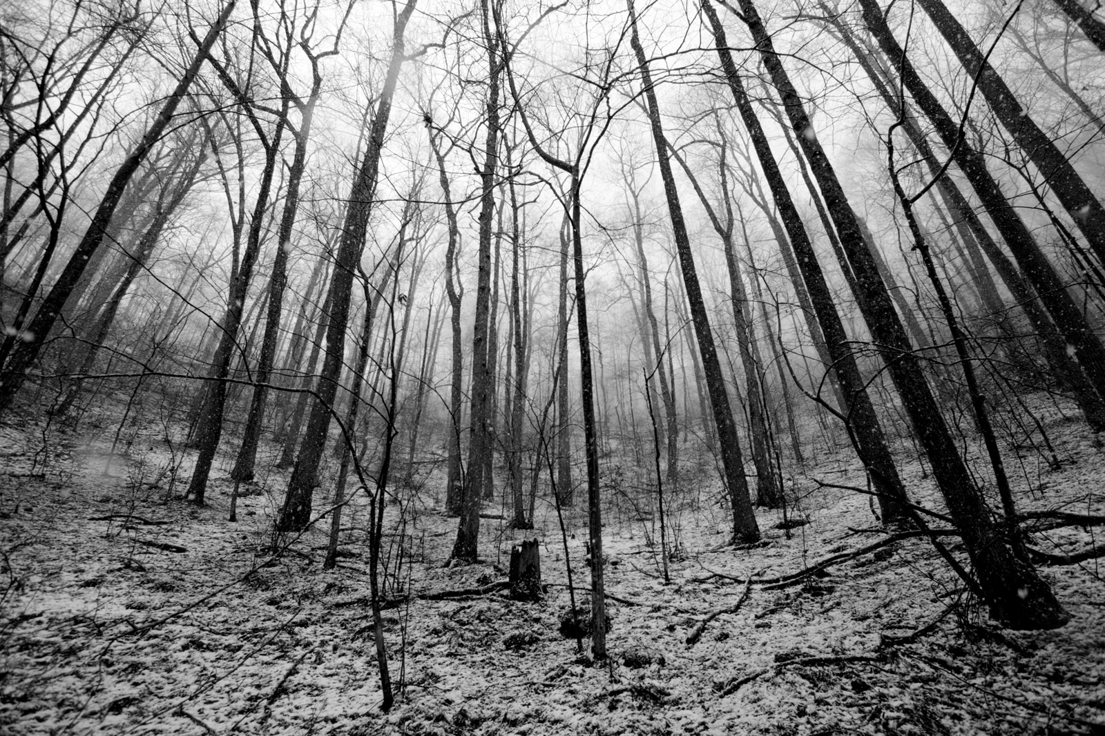 Black and White Photography | SeanRose.com