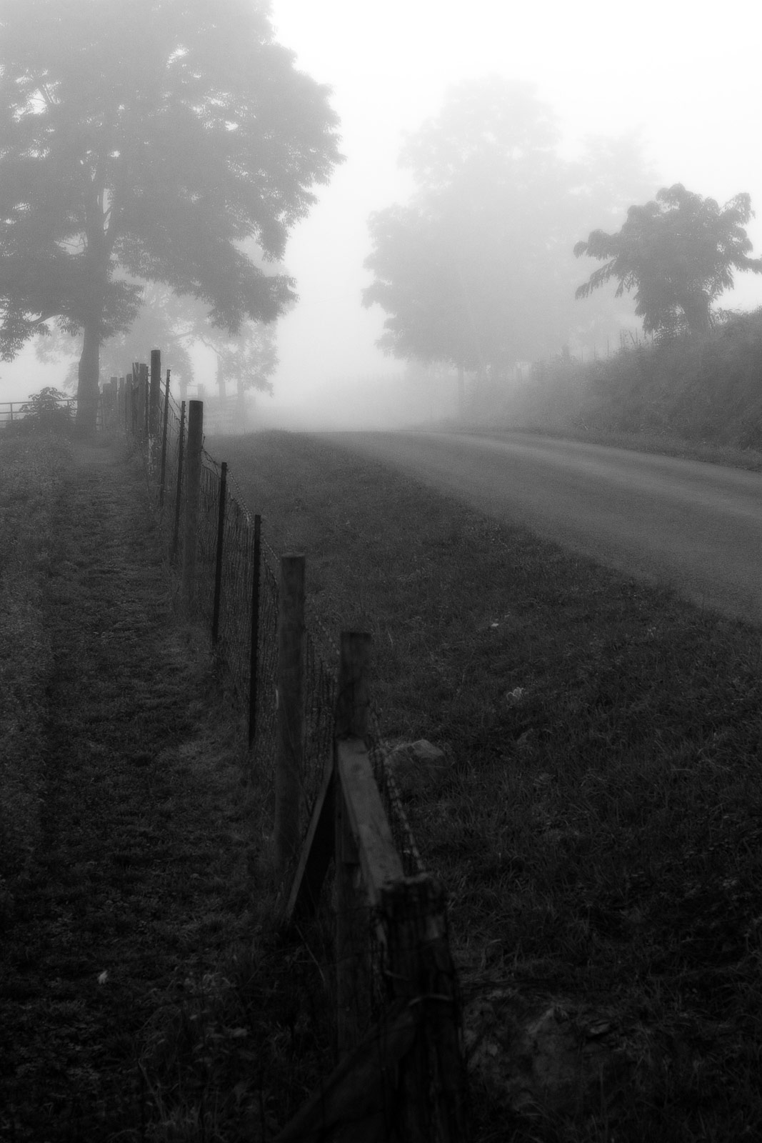 Black and White Photography | SeanRose.com