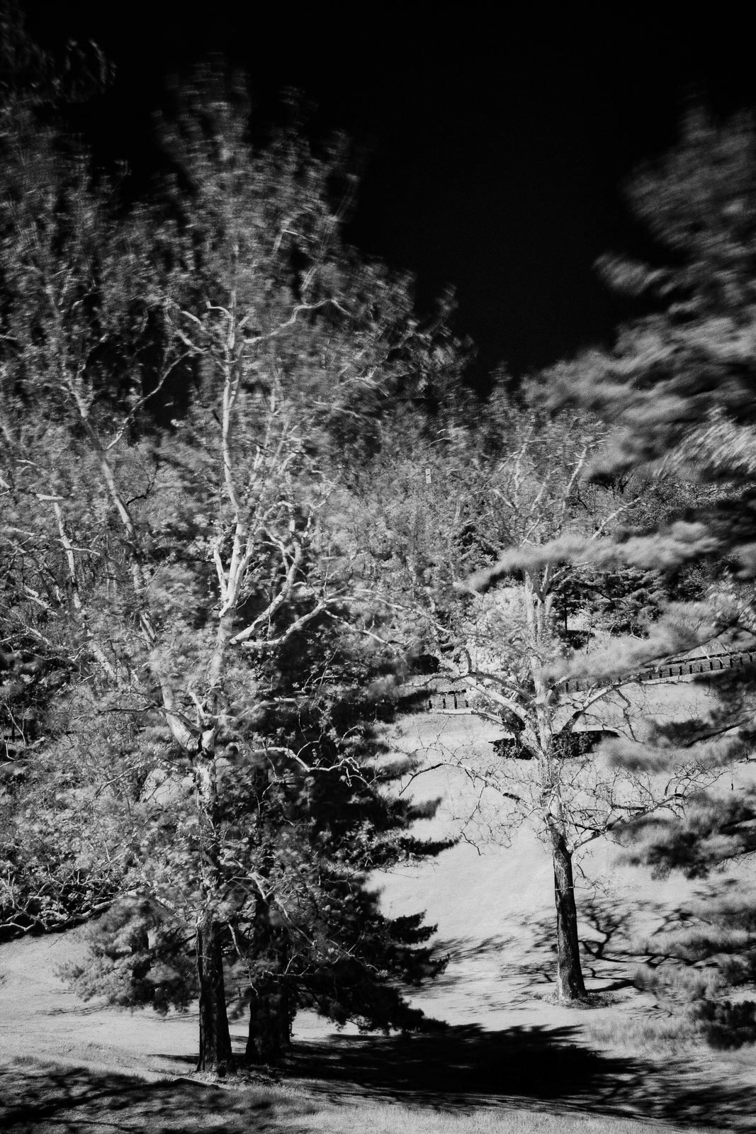 Black and White Photography | SeanRose.com