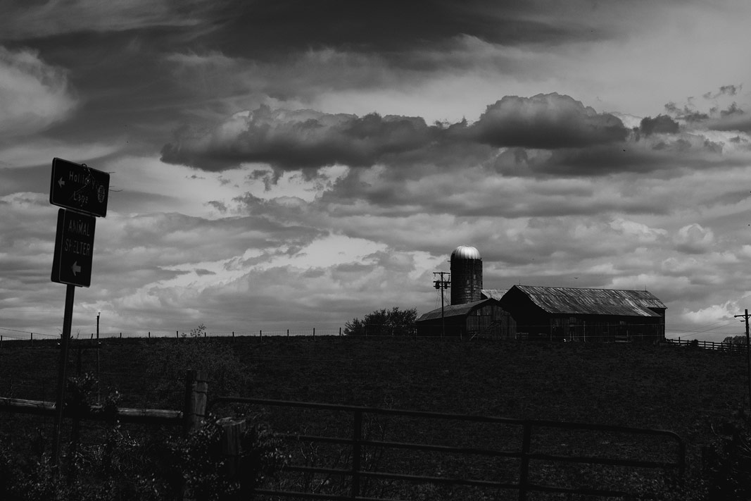 Black and White Photography | SeanRose.com