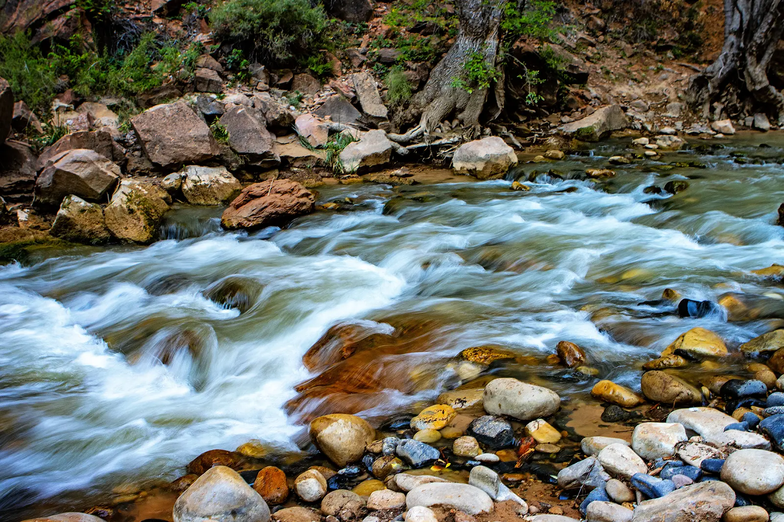 Rural & Zion National Park UT