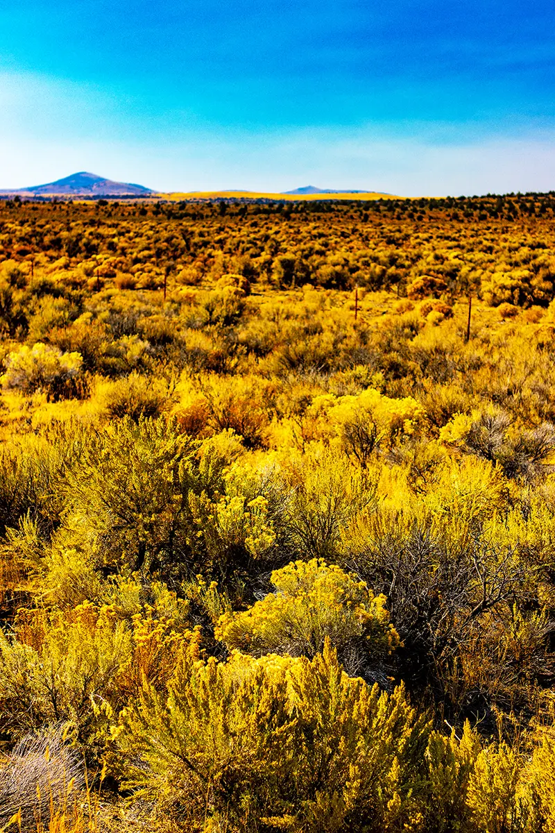 Oregon High Plains Desert