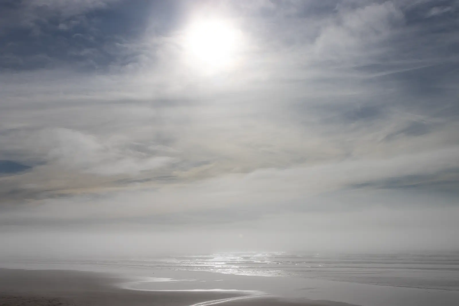 Oregon Pacific Coast