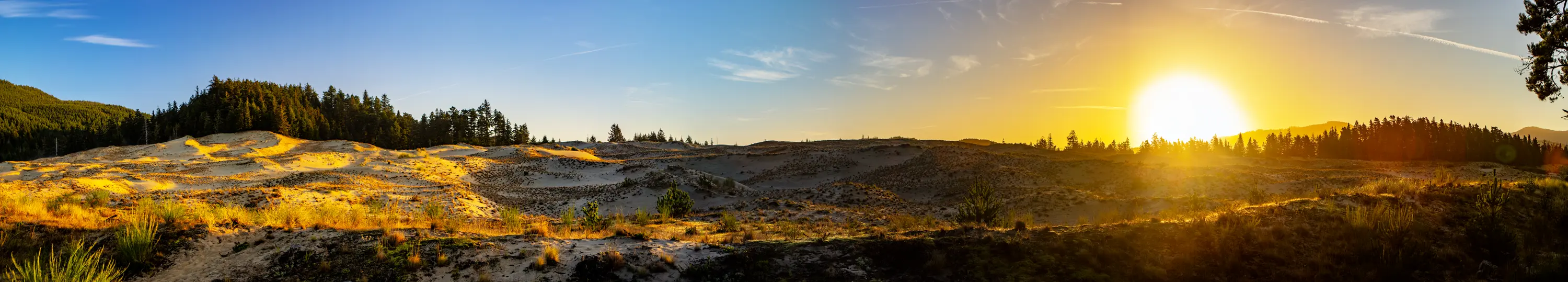 Oregon Pacific Coast