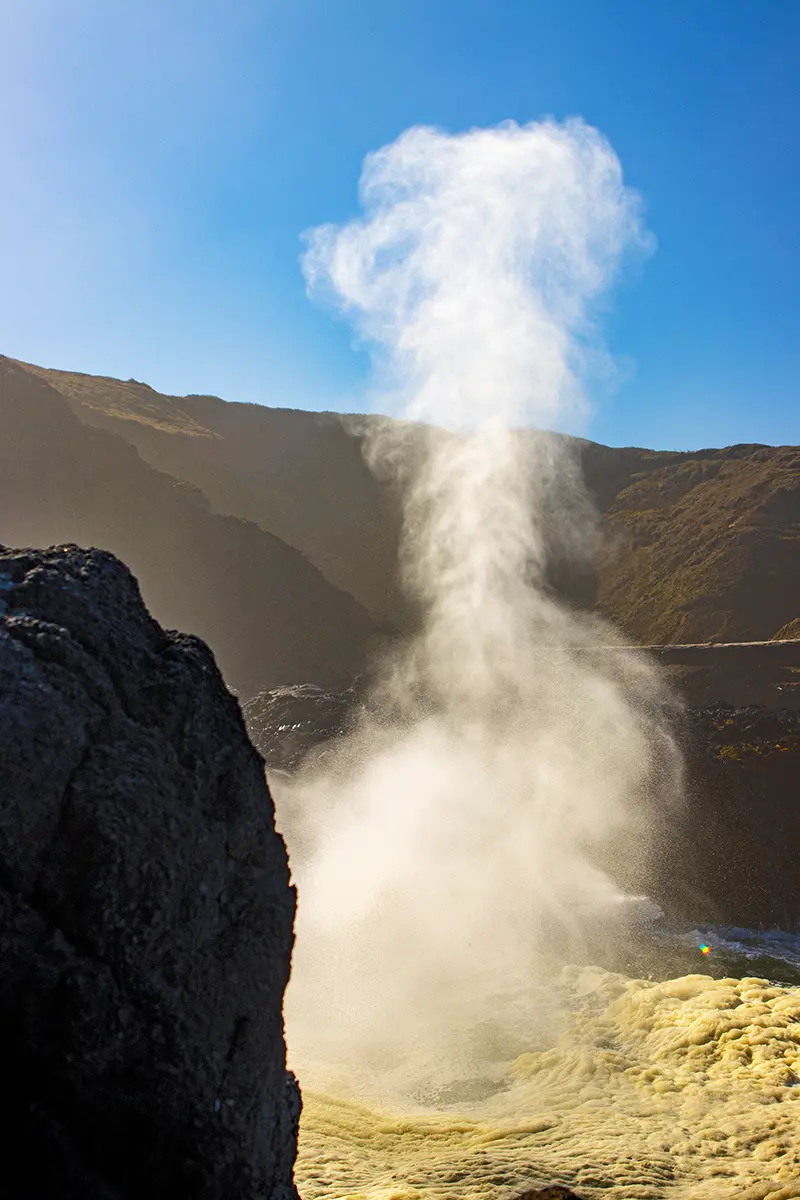 Oregon Pacific Coast