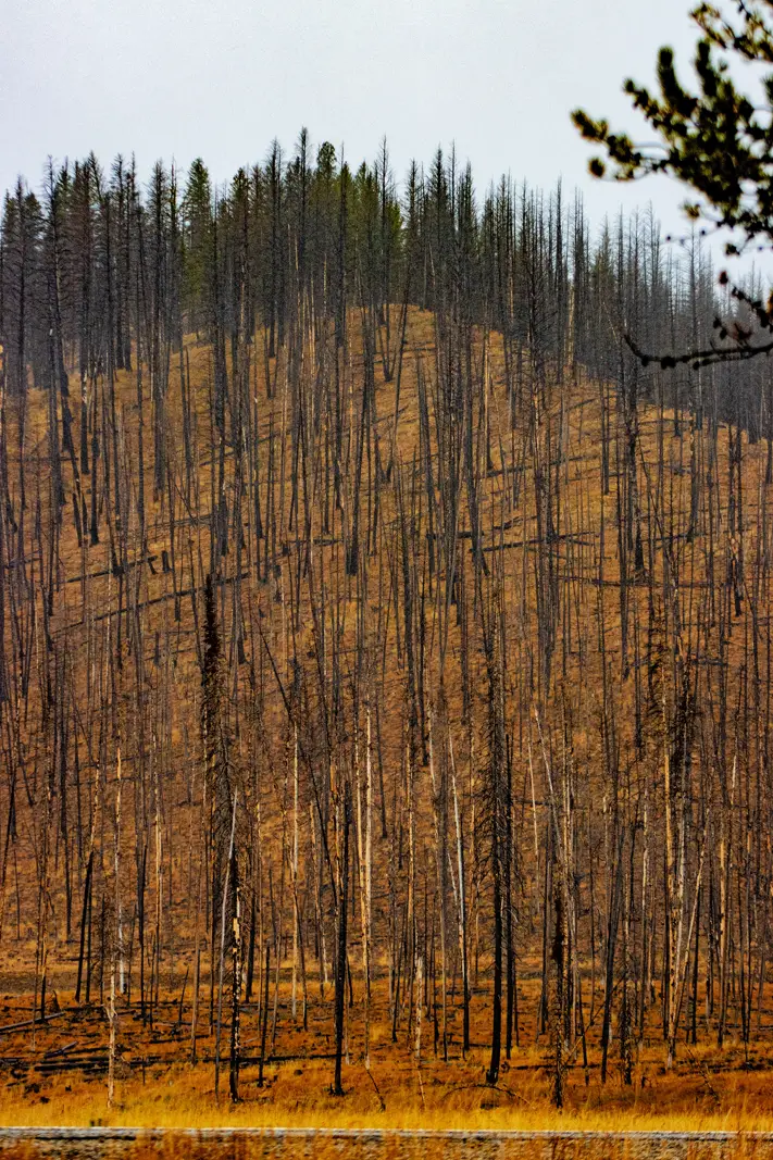 The Grand Tour: Idaho, Montana and Wyoming