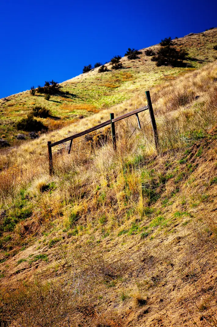 The Grand Tour: Idaho, Montana and Wyoming