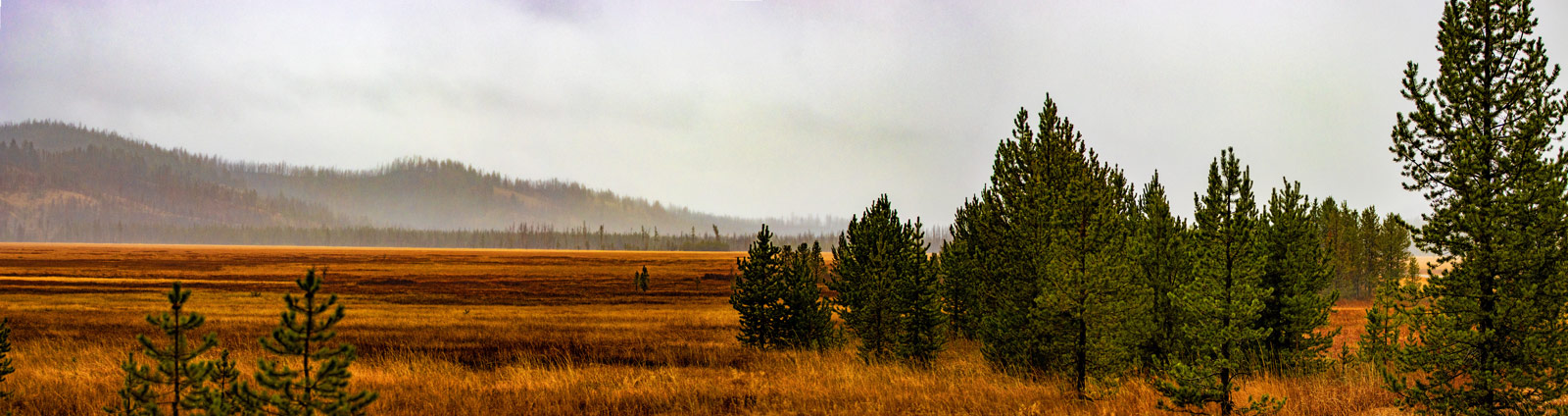 The Grand Tour: Idaho, Montana and Wyoming