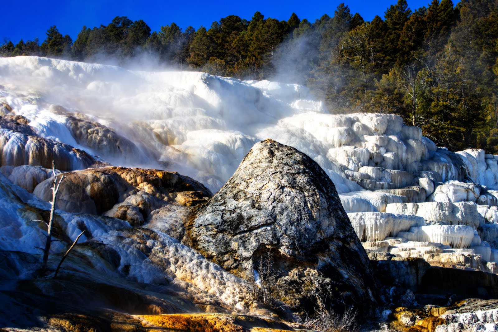 The Grand Tour: Idaho, Montana and Wyoming