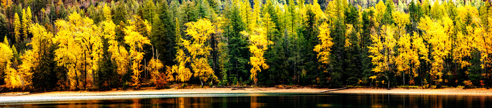 The Grand Tour: Idaho, Montana and Wyoming