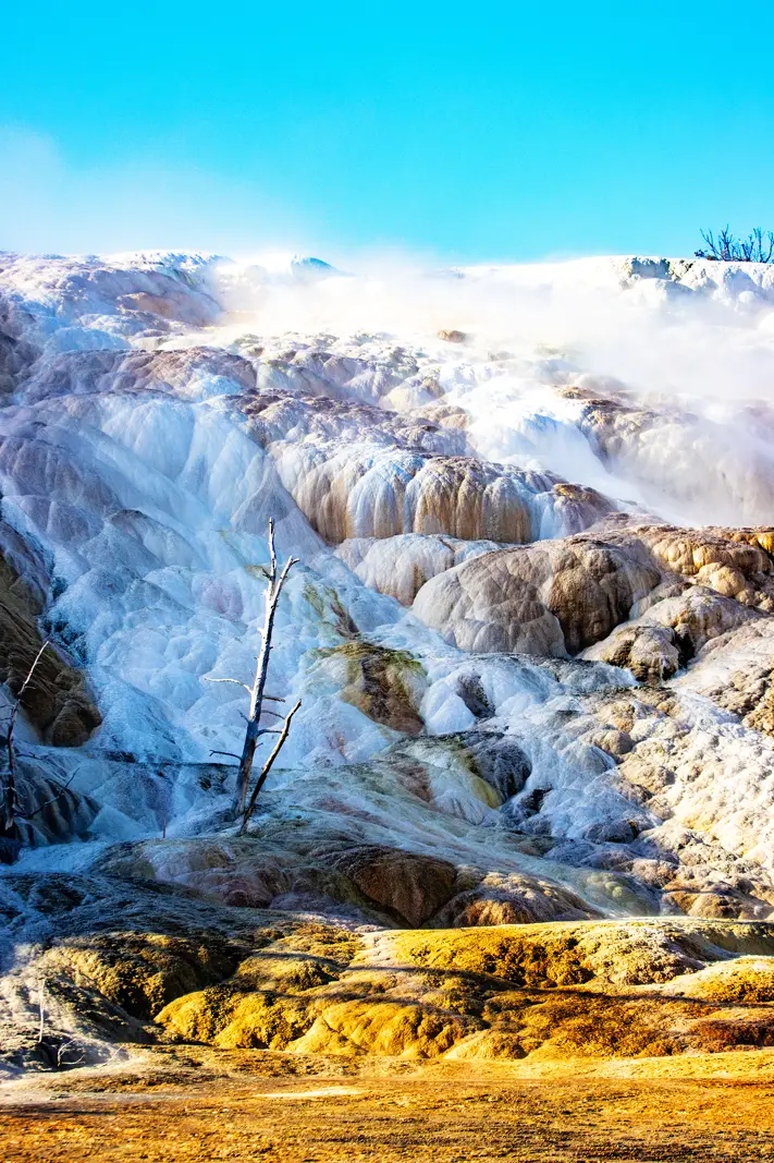 The Grand Tour: Idaho, Montana and Wyoming