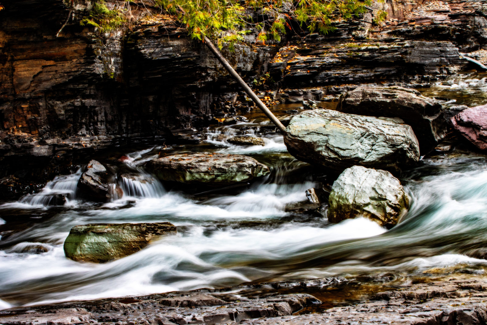 The Grand Tour: Idaho, Montana and Wyoming