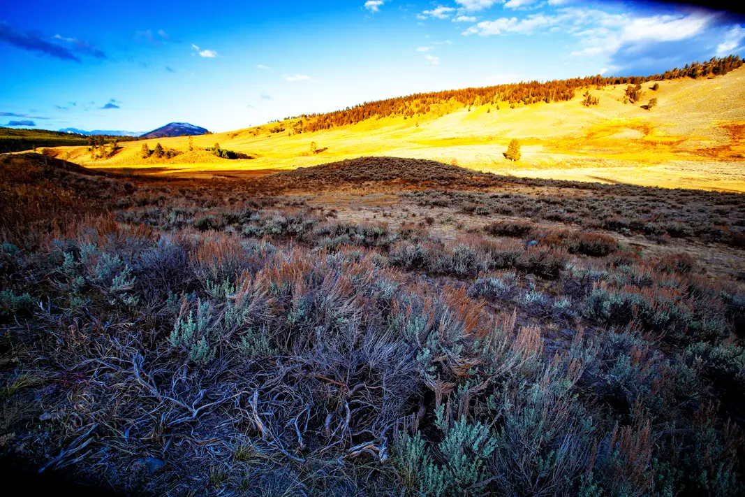 The Grand Tour: Idaho, Montana and Wyoming