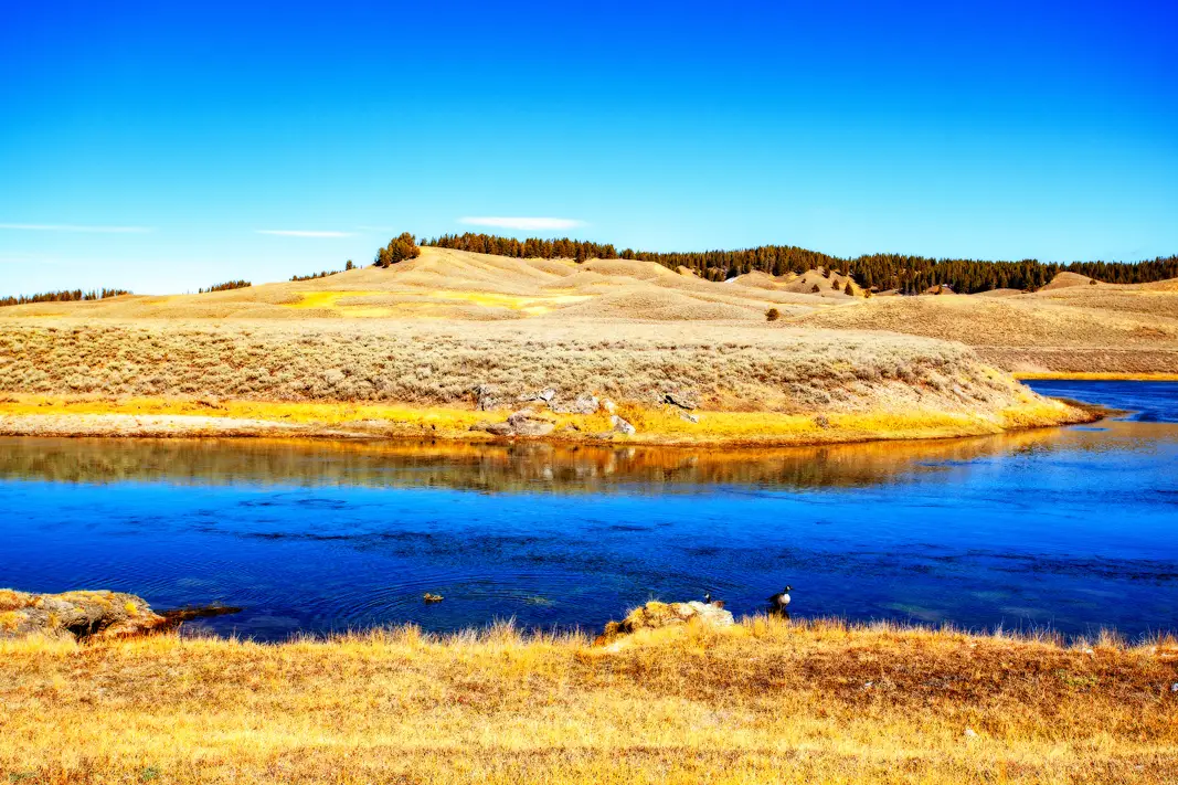 The Grand Tour: Idaho, Montana and Wyoming