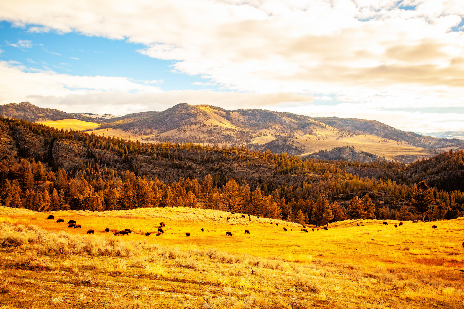 The Grand Tour: Idaho, Montana and Wyoming