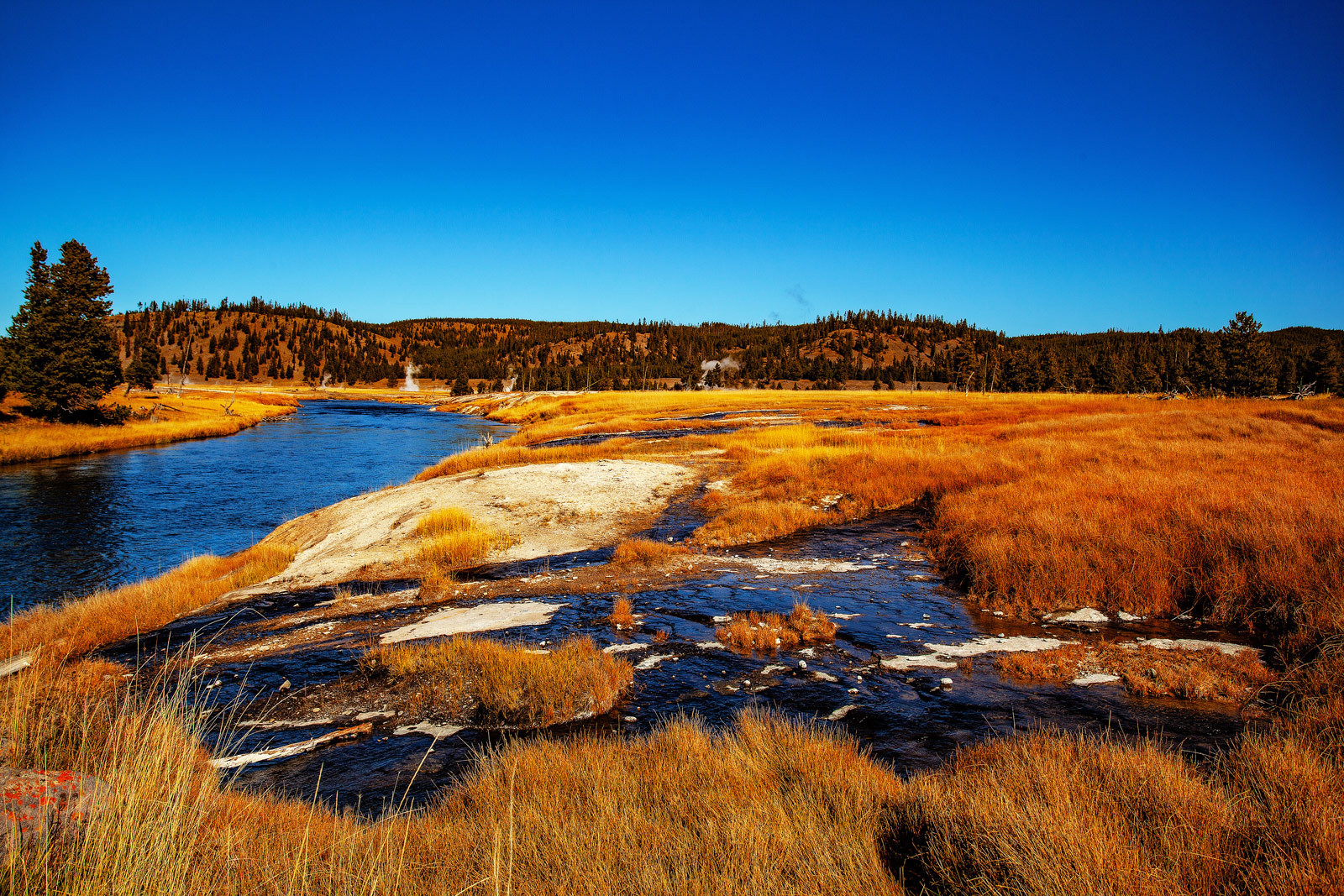 The Grand Tour: Idaho, Montana and Wyoming