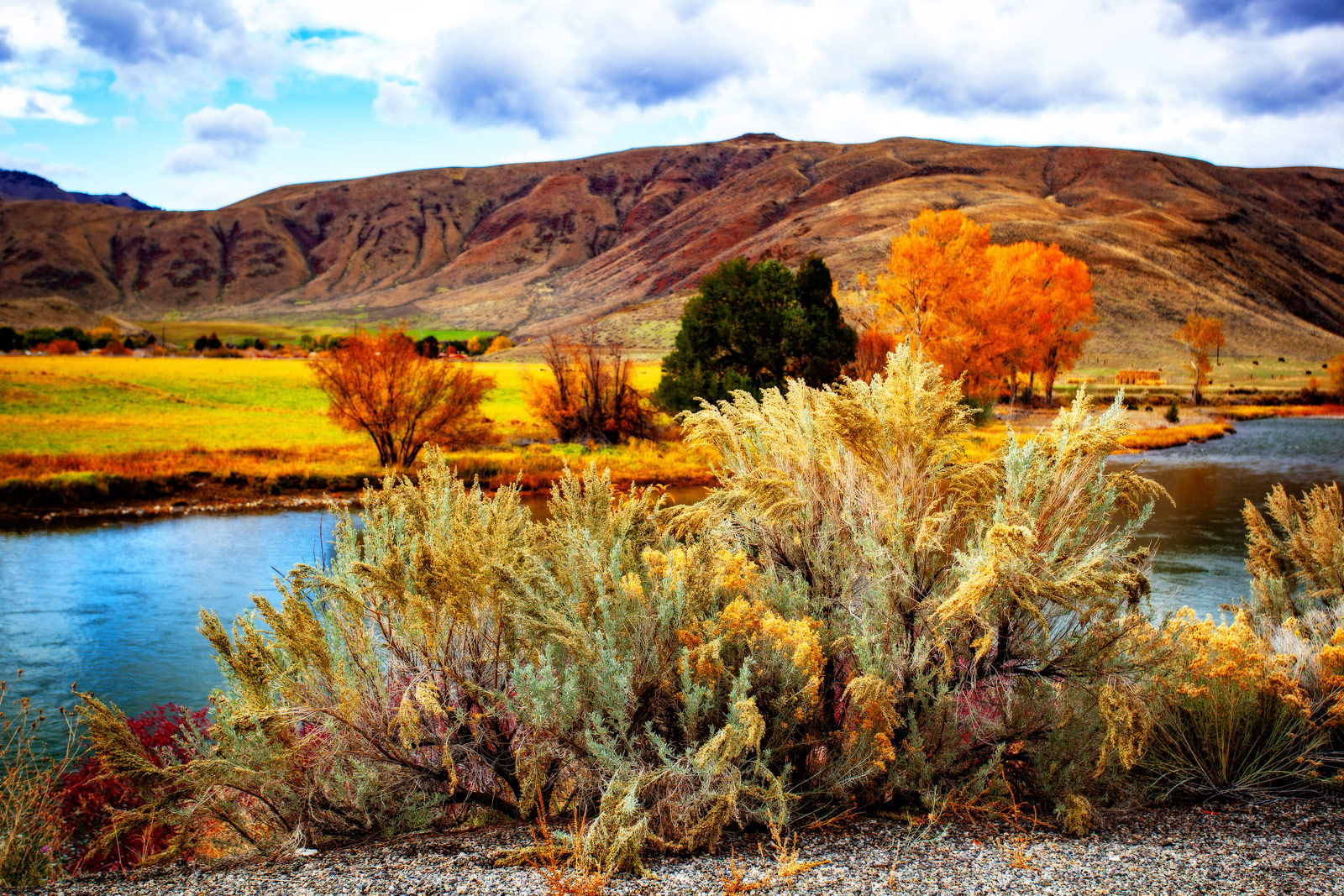 The Grand Tour: Idaho, Montana and Wyoming