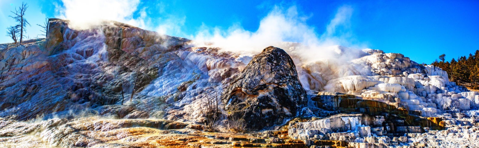 The Grand Tour: Idaho, Montana and Wyoming