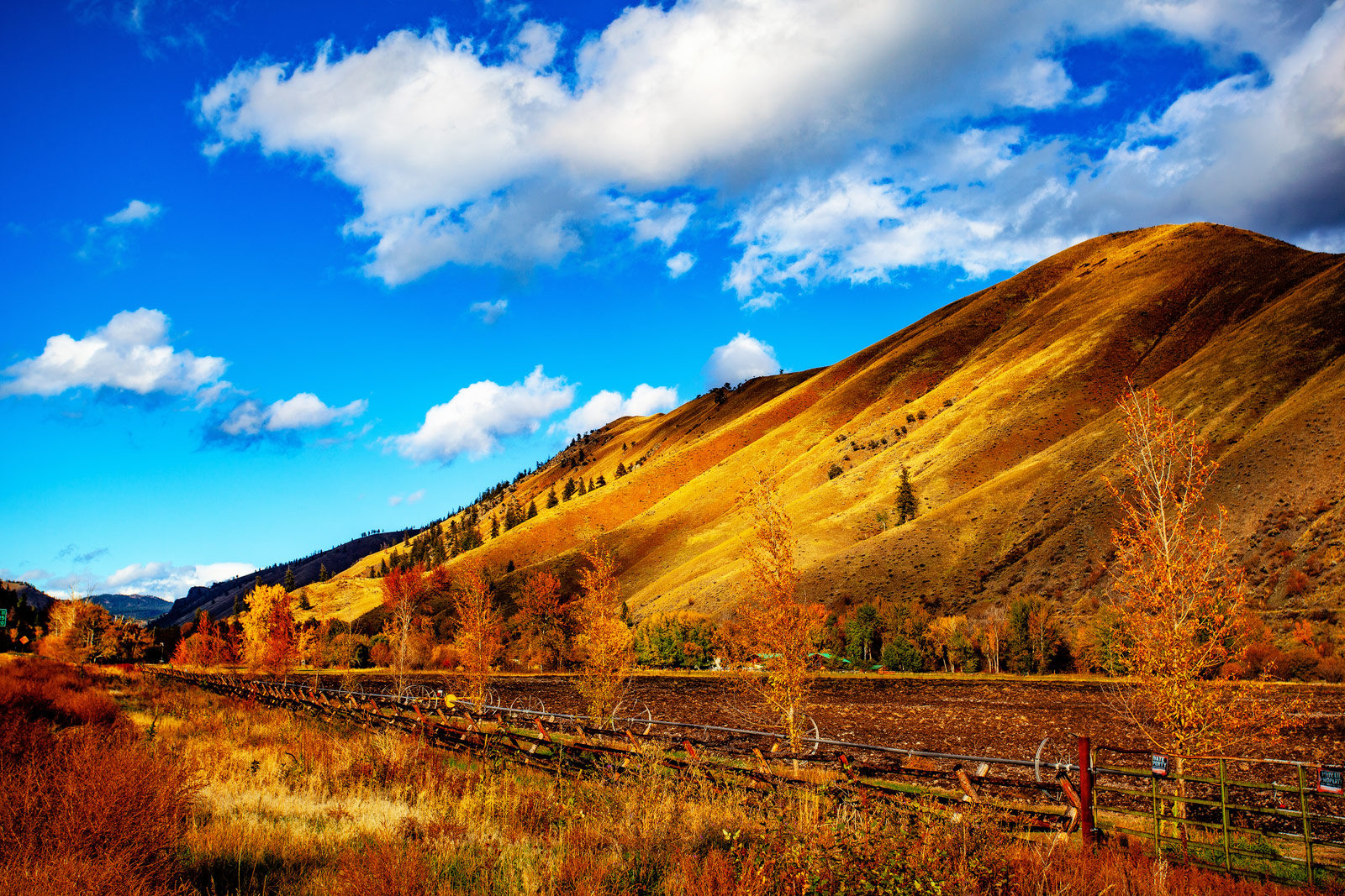 The Grand Tour: Idaho, Montana and Wyoming