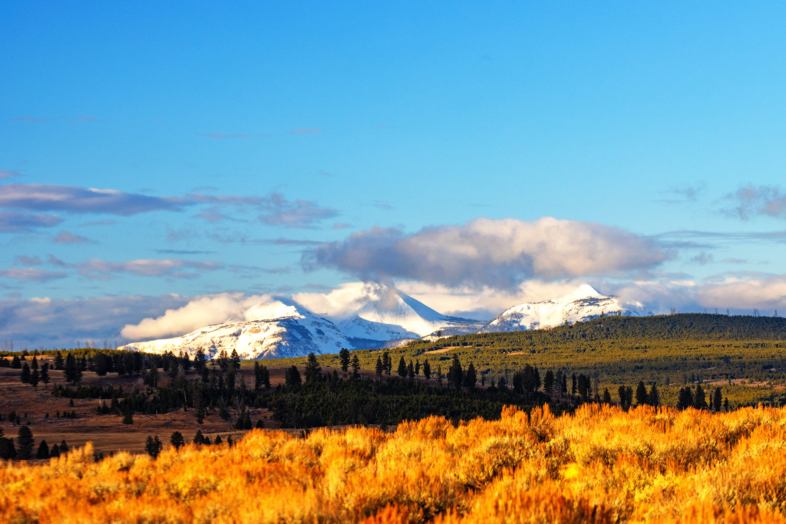 The Grand Tour: Idaho, Montana and Wyoming