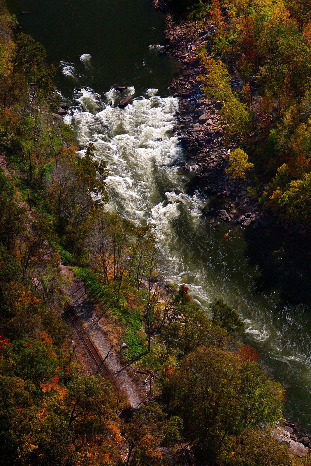 View down from the New River Gorge Bridge Fayetteville WV - Landscape Photography | SeanRose.com