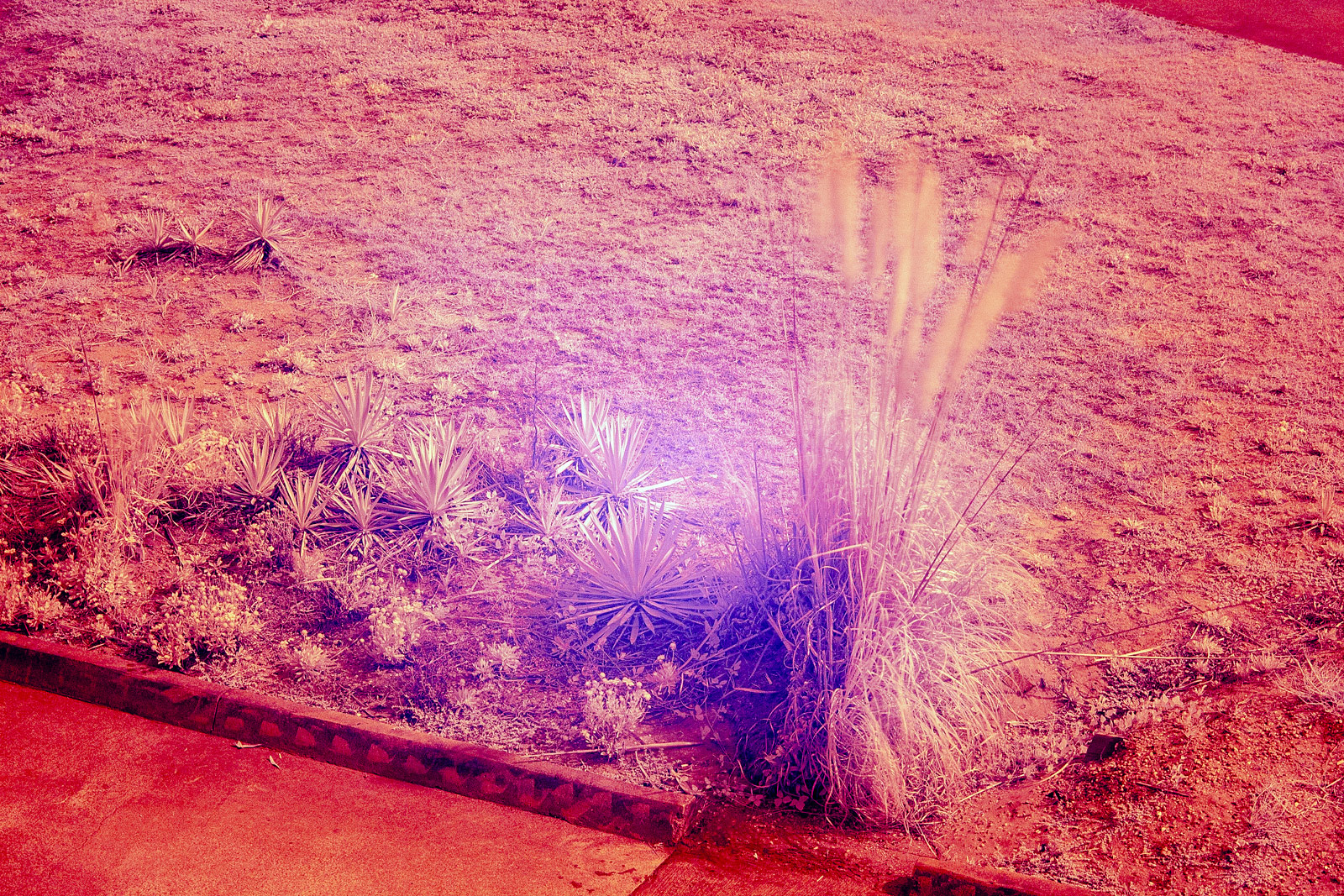 The Outer Banks OBX Photography | SeanRose.com