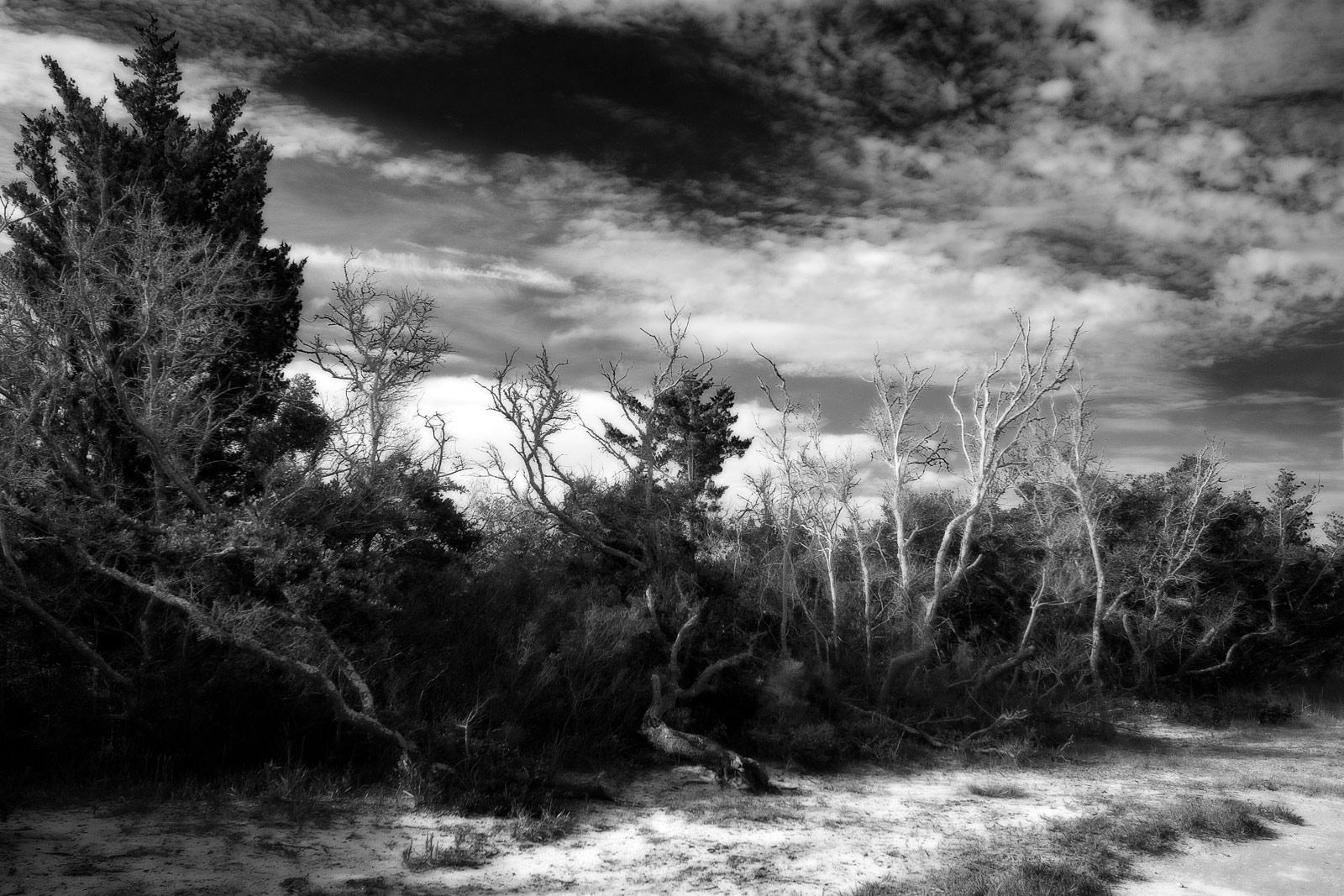 The Outer Banks OBX Photography | SeanRose.com