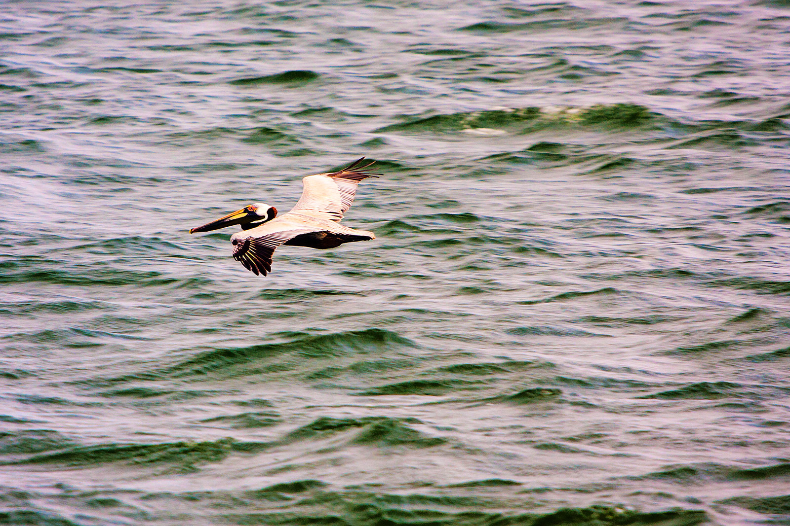 The Outer Banks OBX Photography | SeanRose.com