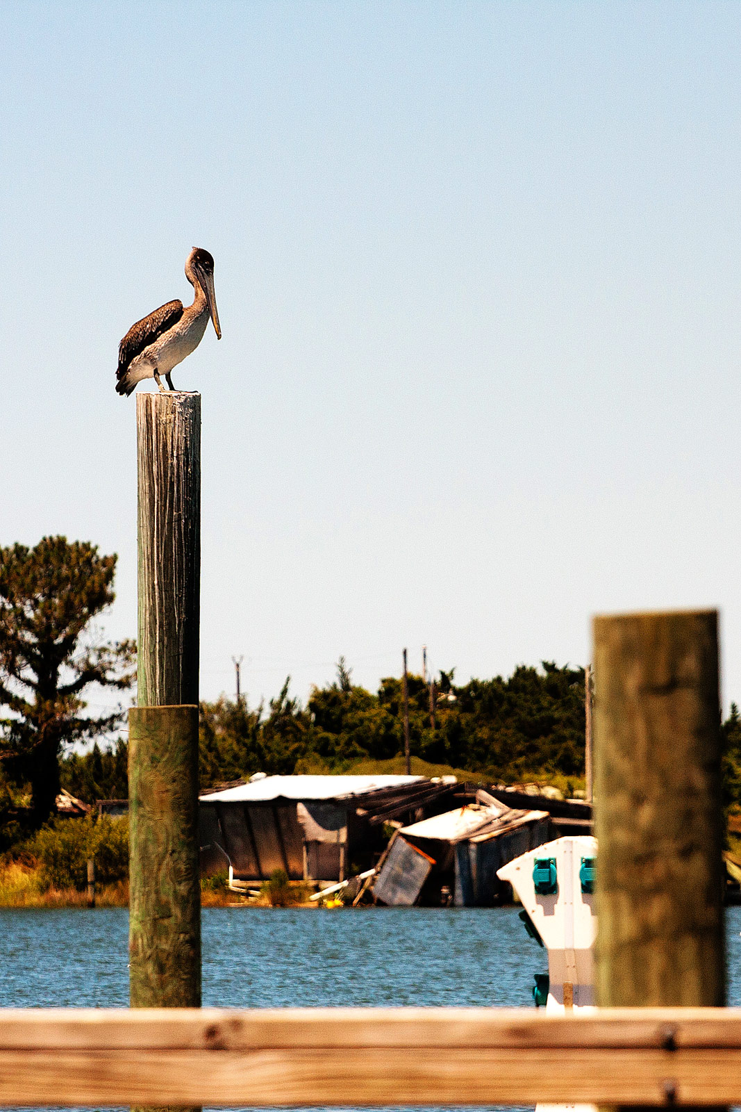 The Outer Banks OBX Photography | SeanRose.com