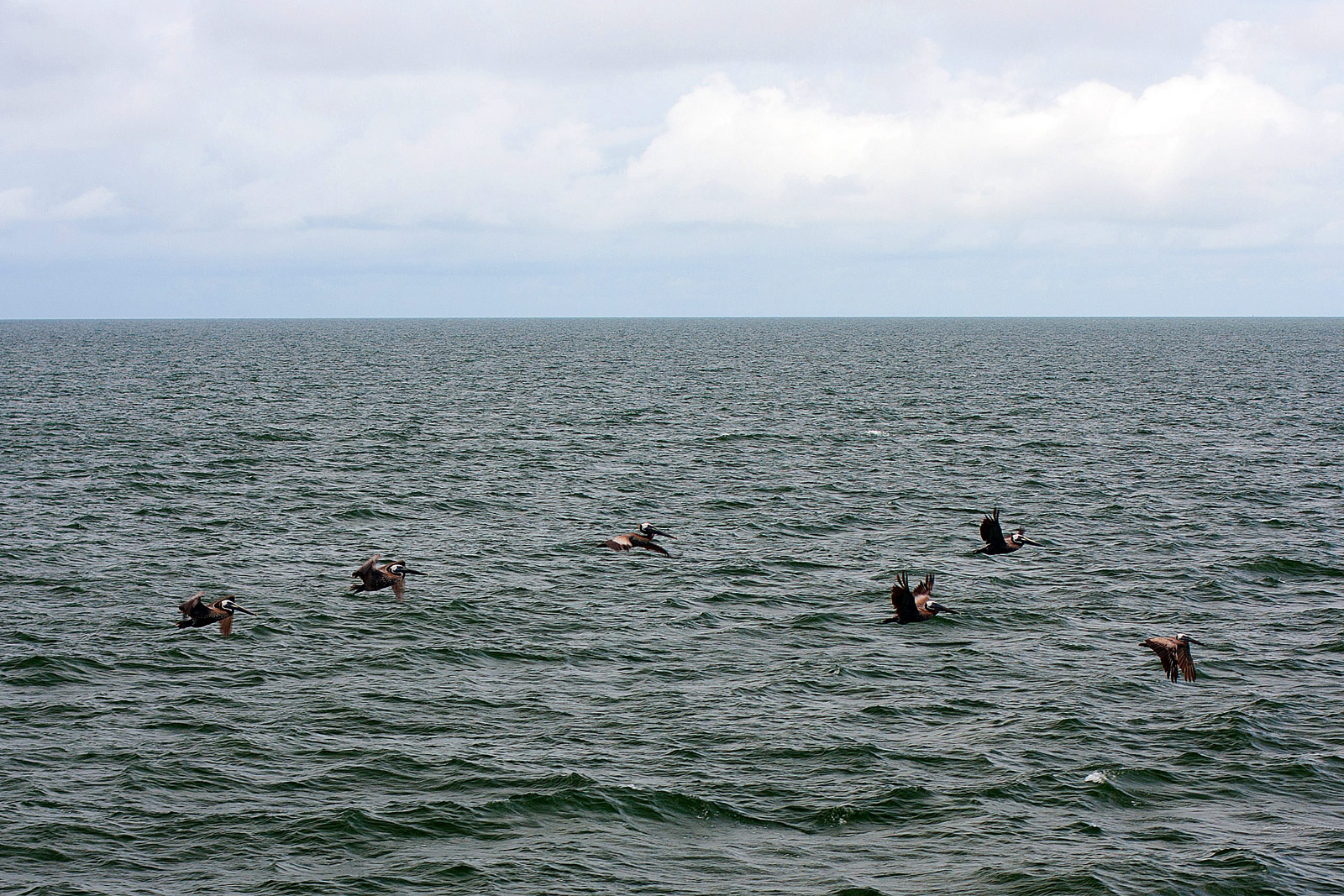 The Outer Banks OBX Photography | SeanRose.com