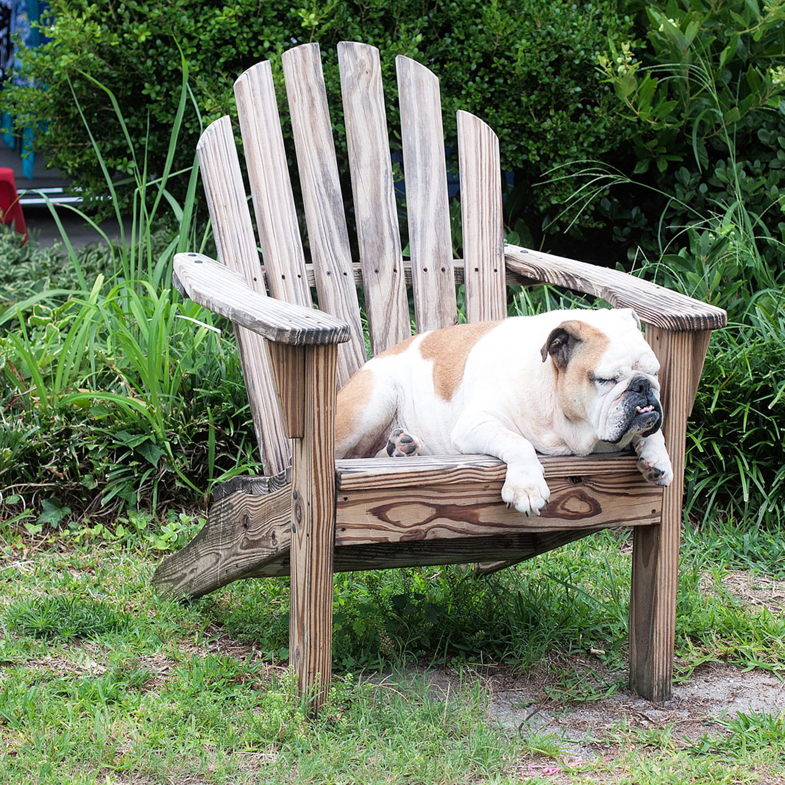 The Outer Banks OBX Photography | SeanRose.com