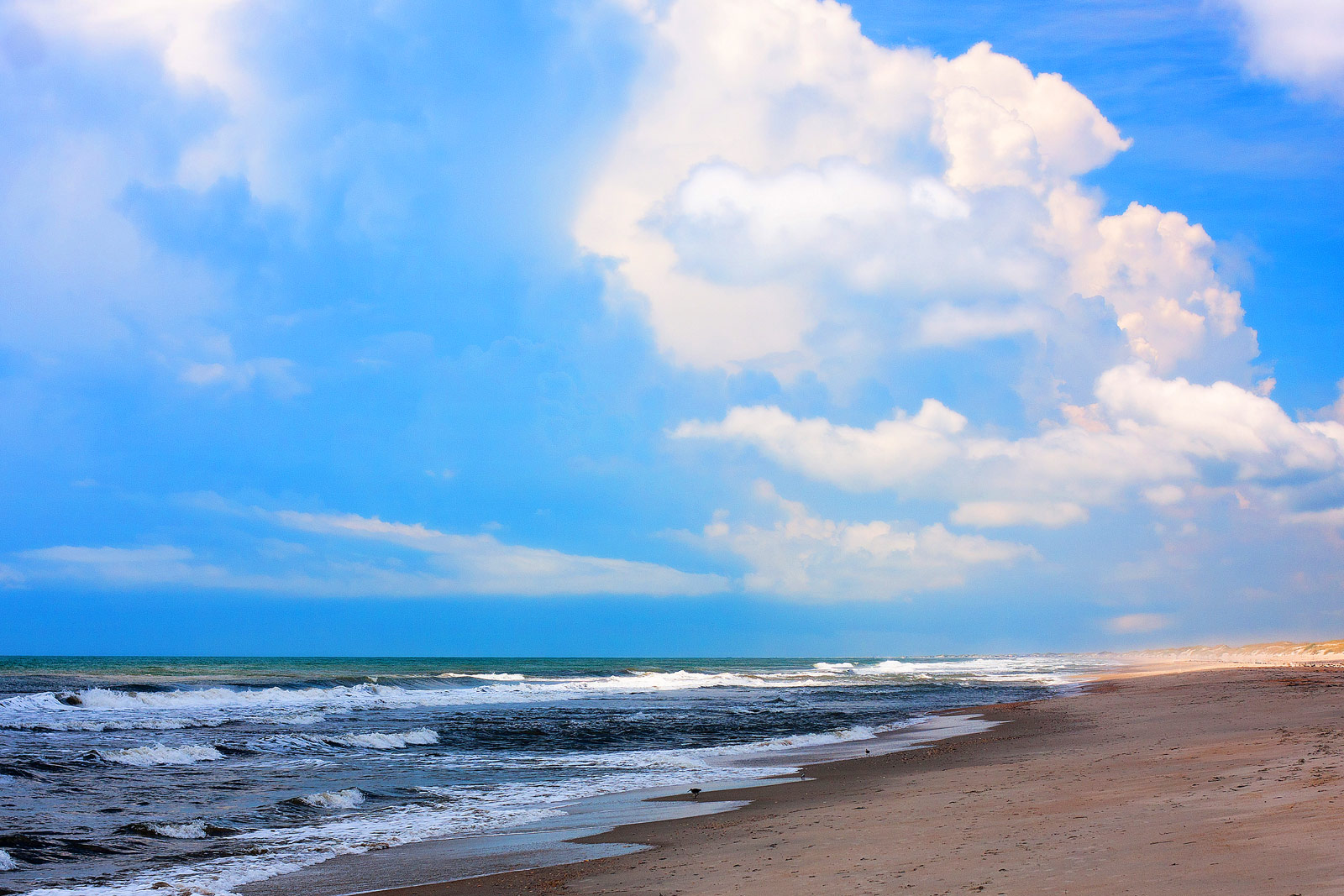 The Outer Banks OBX Photography | SeanRose.com