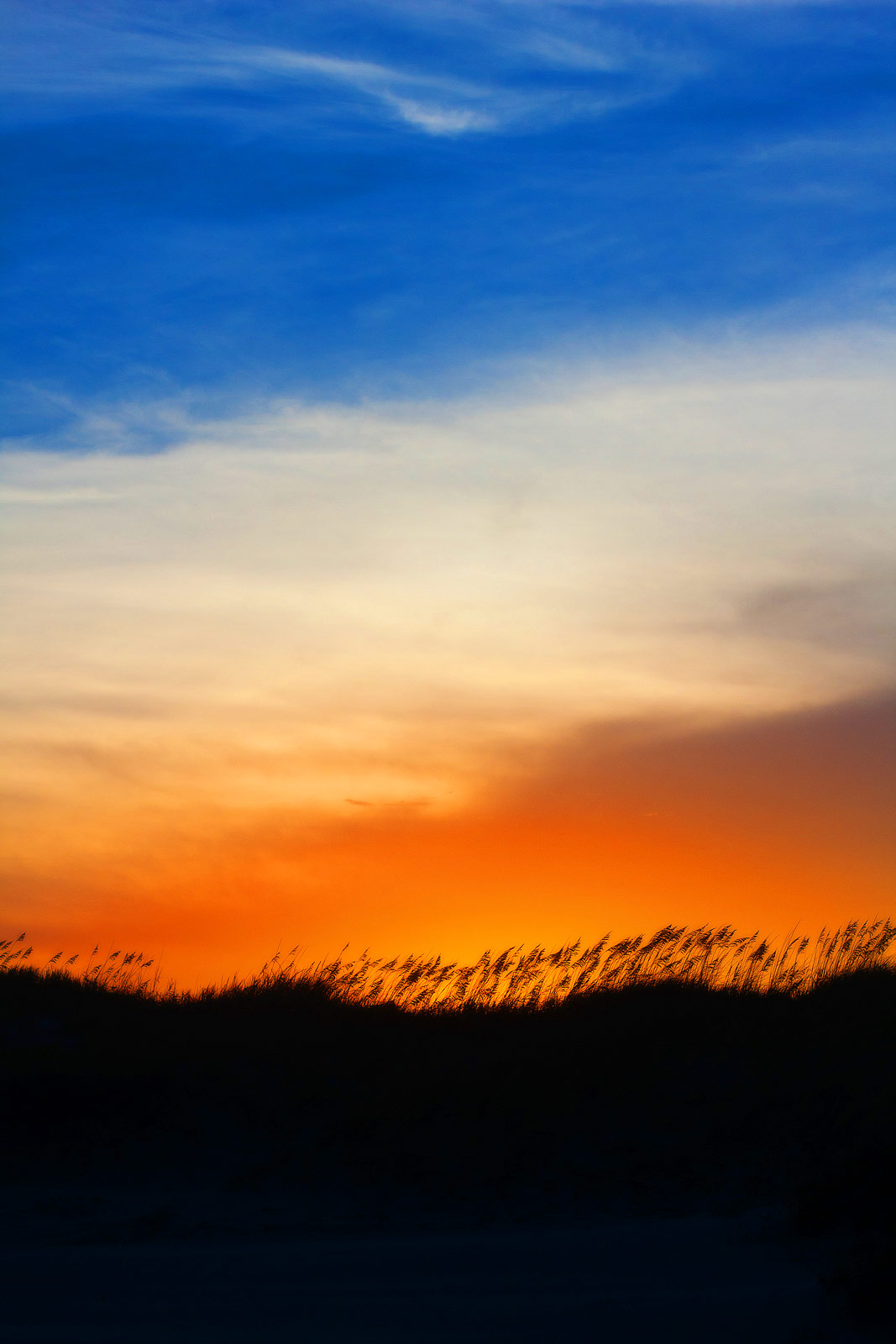 The Outer Banks OBX Photography | SeanRose.com