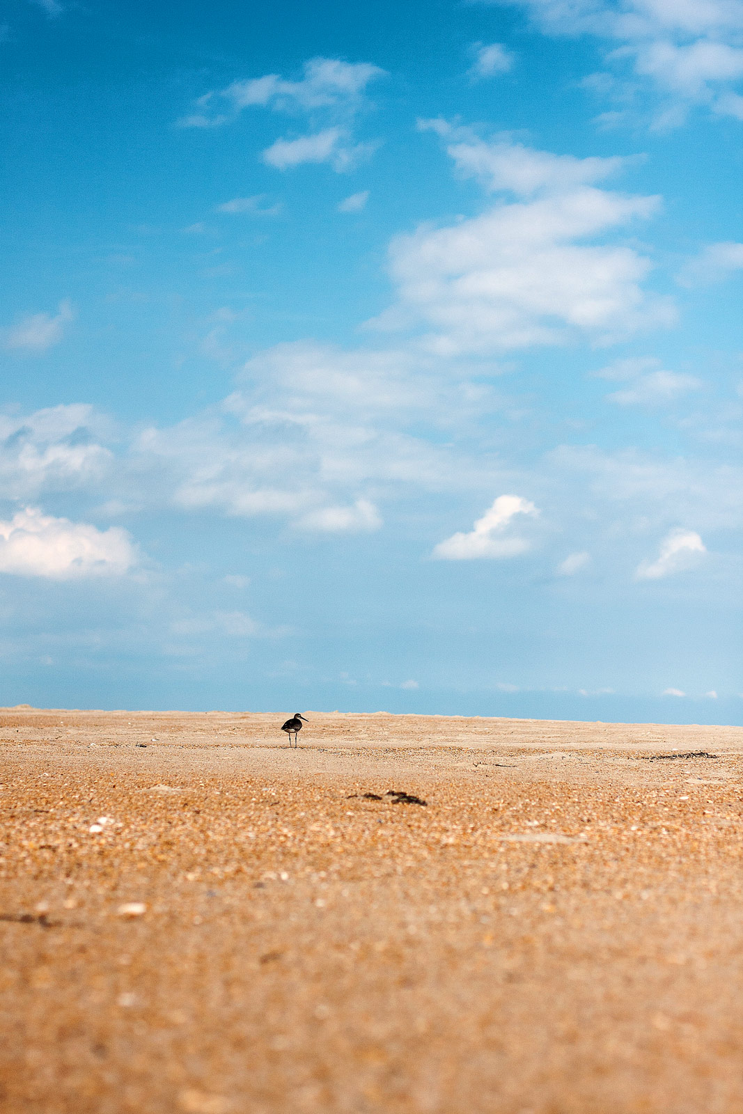 The Outer Banks OBX Photography | SeanRose.com
