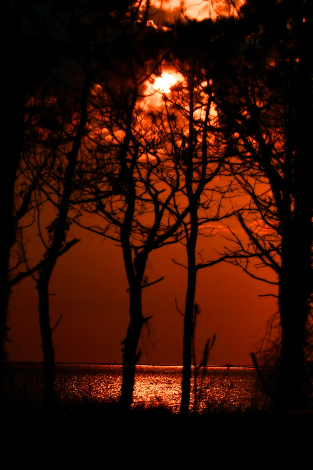 The Outer Banks OBX Photography | SeanRose.com