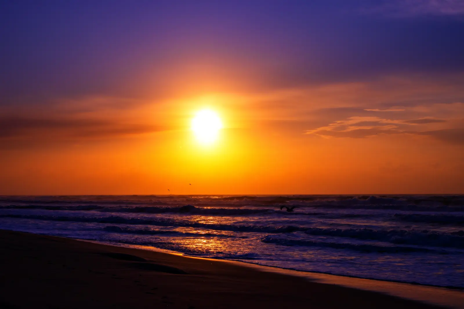 The Outer Banks OBX Photography | SeanRose.com