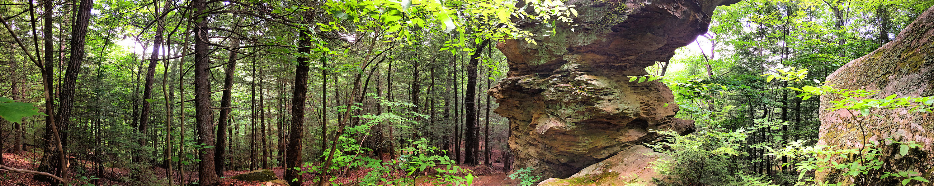Devil's Tea Table Little Creek Park South Charleston WV - Panorama Photography | SeanRose.com