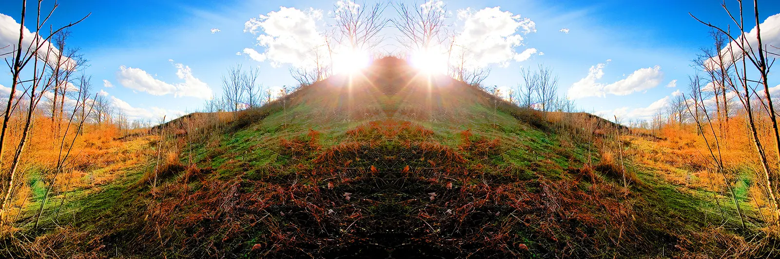 Reflections Photography | SeanRose.com